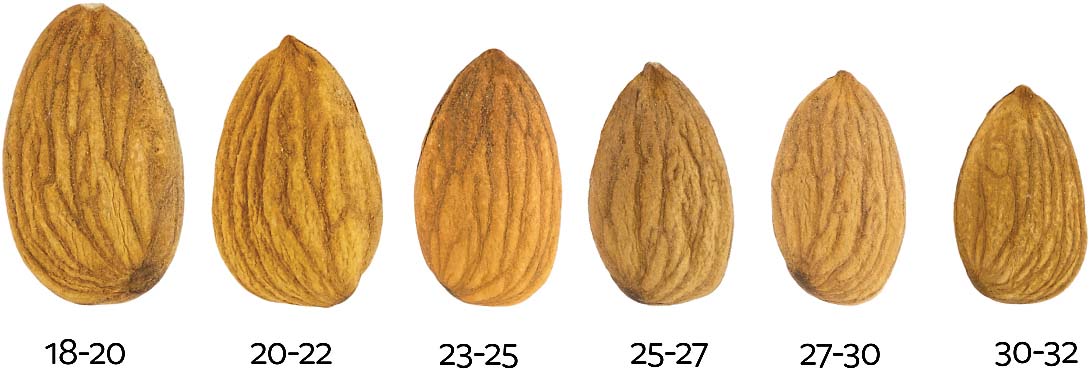 nonpareil-almond-sizing